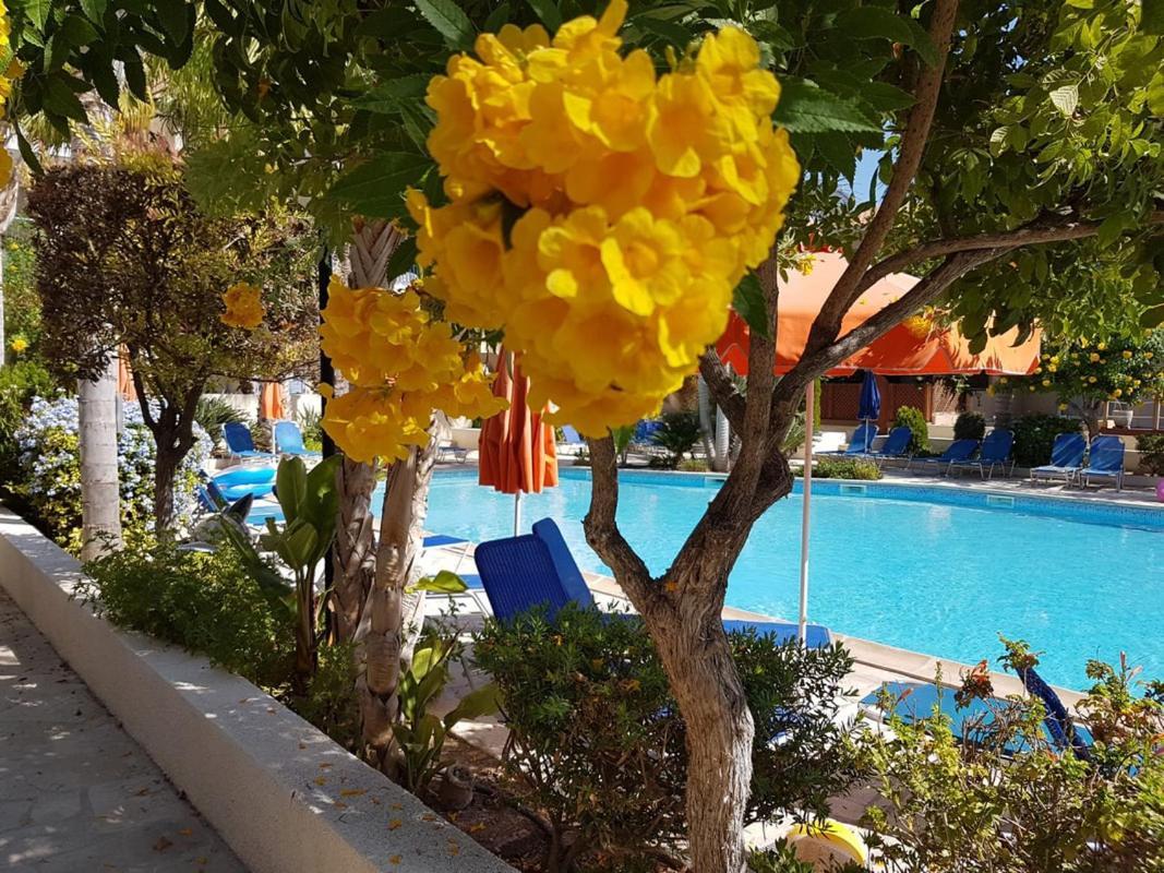 Villa Ilios In Kato Paphos ภายนอก รูปภาพ